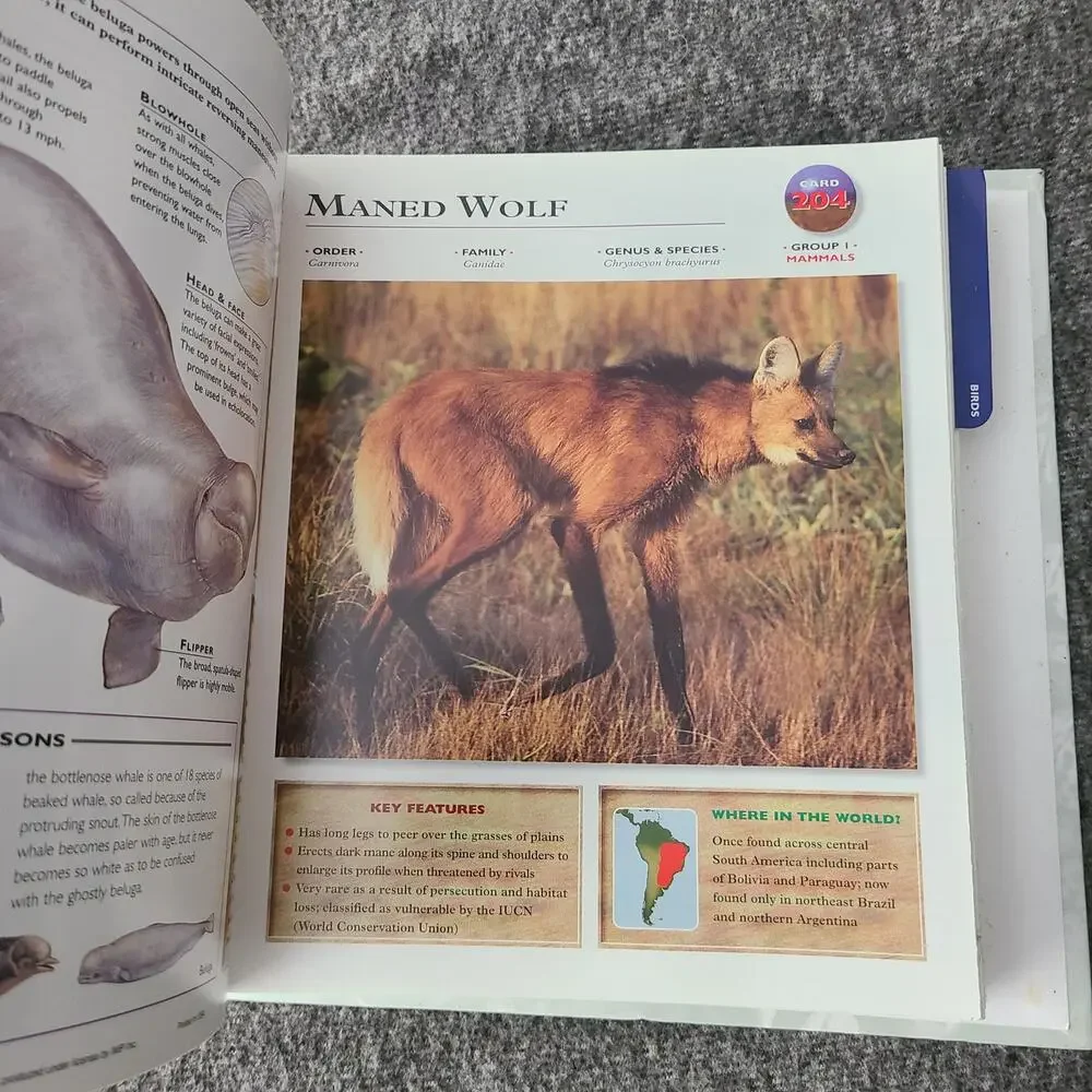 WILDLIFE EXPLORER Set 2 Binders w/Fact Cards Animal Birds Science Home School